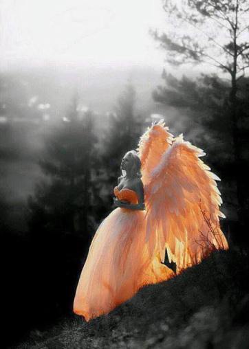 26907958_147876629260878_8373975270701272855_n